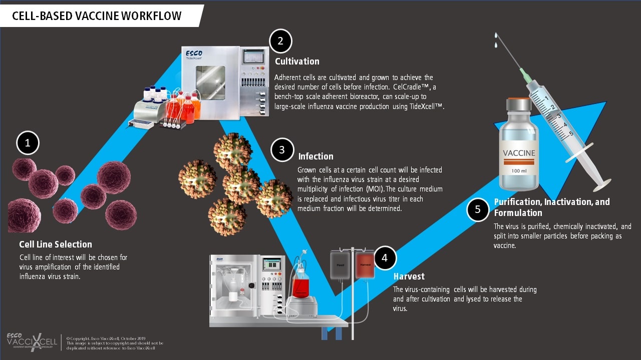 Cellbased influenza Vaccines Esco VacciXcell